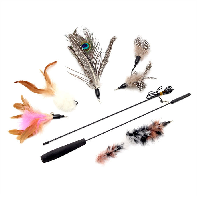 Cat Teaser Wand Stick with Handle Toy  with 5pcs Feather Replacement