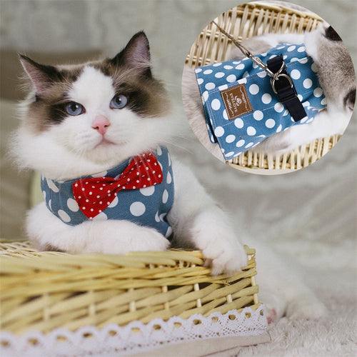 Adjustable Cat Harness, Bowtie cat Suit + Leash