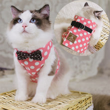 Load image into Gallery viewer, Adjustable Cat Harness, Bowtie cat Suit + Leash