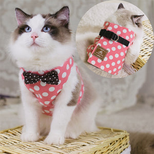 Adjustable Cat Harness, Bowtie cat Suit + Leash